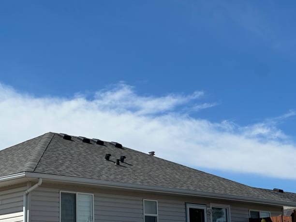 Skylights in Perryton, TX